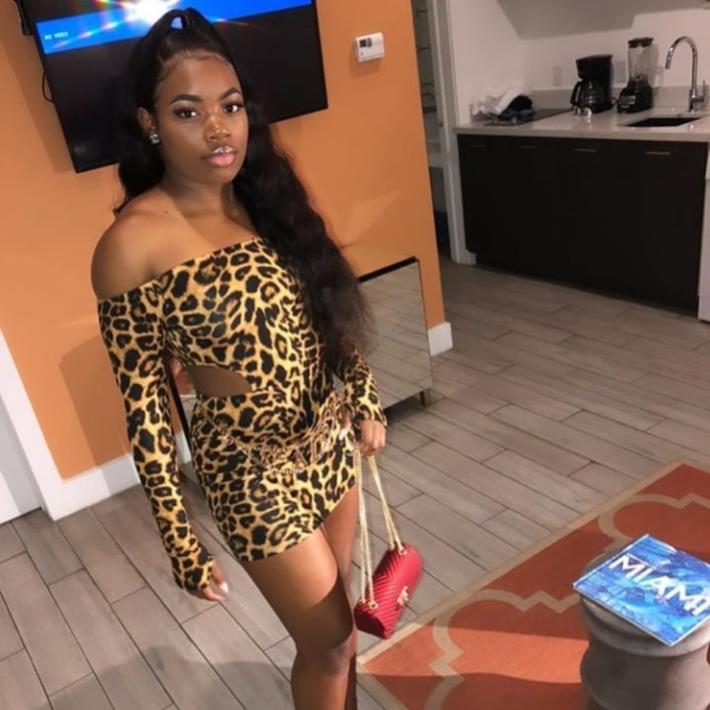 Leopard print dress including purse